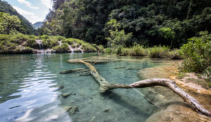 Central America, Quatemala, National Park, Semuc Champey Central America, Quatemala, National Park, Semuc Champey